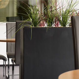Pflanzen im Büro: Und alles wird grün und besser - Pflanzen im Büro - Und alles wird grün und besser