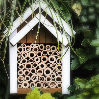 Insektenhotels im Garten - Das spricht dafür! - Insektenhotel kaufen oder bauen - das gibt es zu beachten