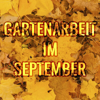 Die Gartenarbeit im Herbst - Das sollten Sie im September und Oktober erledigen