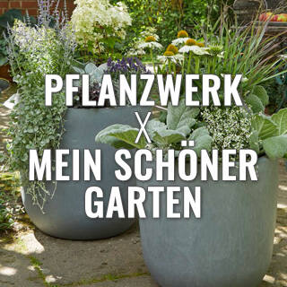 Pflanzwerk meets Mein schöner Garten - Pflanzwerk in der Oktober Ausgabe von Mein schöner Garten
