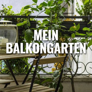 Mein Balkongarten - Biologisch gärtnern - Wie Sie den Balkongarten nachhaltig bepflanzen