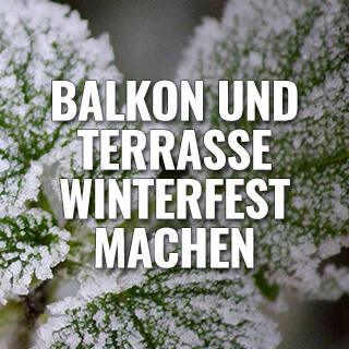 Balkon & Terrasse winterfest machen - Gartenarbeit im November