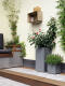 Ecke einer gemütlichen Terrasse mit modernen hohen und niedrigen Pflanzkübeln in Grau, bepflanzt mit Rosen und Kräutern, neben einer Lounge-Ecke, Holzboden und einer dekorativen Wandkiste