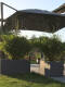 Gartenansicht mit zwei großen, quadratischen Pflanzkübeln, die mit Bambuspflanzen bepflanzt sind, unter einem großen Sonnenschirm
