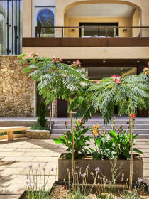 Urbaner Gartenbereich mit tropischen Pflanzen rechteckigen Pflanzkübel braun vor einem Hoteleingang mit Steinverkleidung