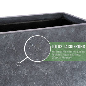 Detailansicht der Oberfläche eines rechteckigen Lava antharazit Pflanzkübels Tub mit Lotus-Lackierung