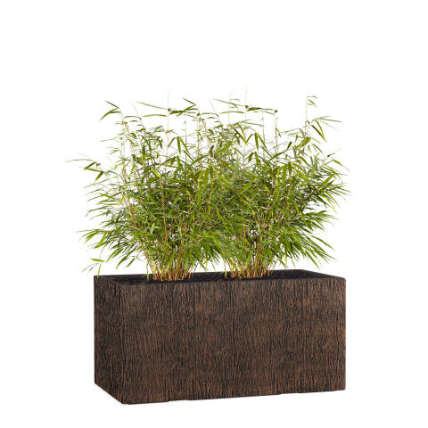 Rechteckiger Pflanzkübel Modell Tub 60cm breit in Holzoptik wood braun mit einem Bambus bepflanzt