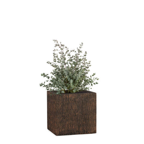 Quadratischer Pflanzkübel Cube 23x23cm in Holzoptik wood braun mit einem Eukalyptus bepflanzt