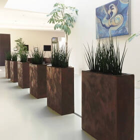 Büro Inneneinrichtung mit einer Reihe von hohen, rostfarbenen Pflanzgefäßen mit Gräsern, vor einer Wand mit Gemälde und grünen Zimmerpflanzen in heller Lobby