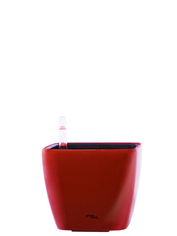 Eckiger Kunststoff Pflanzkübel kubisch mit Bewässerungssystem Modell Cube 15x15cm in shiny rot