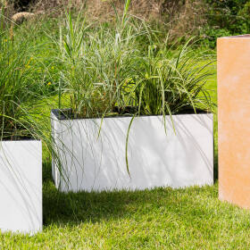 Moderne Gartengestaltung mit weißen rechteckigen Pflanzkübeln gefüllt mit hohen Gräsern auf grünen Rasen