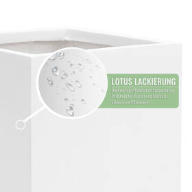 Detailansicht eines weißen eckigen Pflanzkübels mit Lotus-Lackierung und Wassertropfen