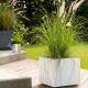 Modern gestaltete Gartenecke mit weißen, eckigen Pflanzkübel, der hohe Gräser beherbergt, neben einer Gießkanne